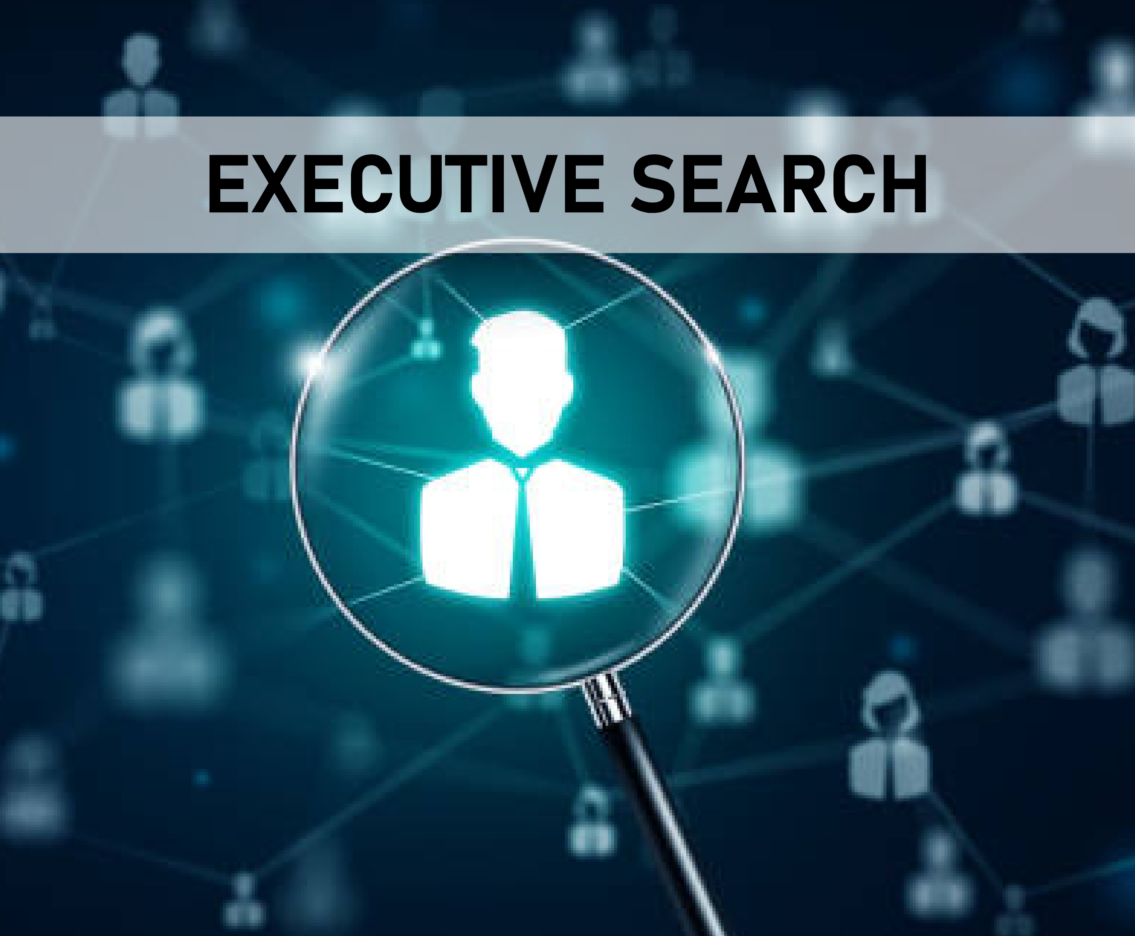 Executive Search
